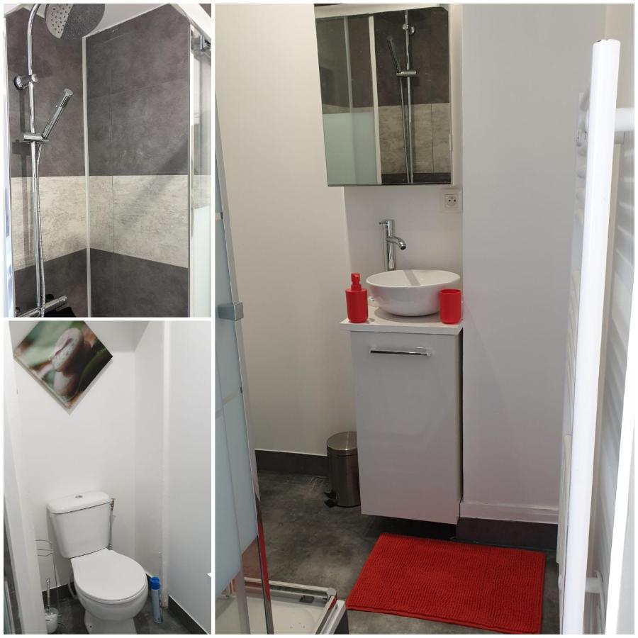 Chambres Poitiers Centre Ville - Salle De Bain, Refrigerateur, Tv Et Machine A Cafe Privatifs - Cuisine Commune - Terrasse - Hotel De Ville A 200M Luaran gambar