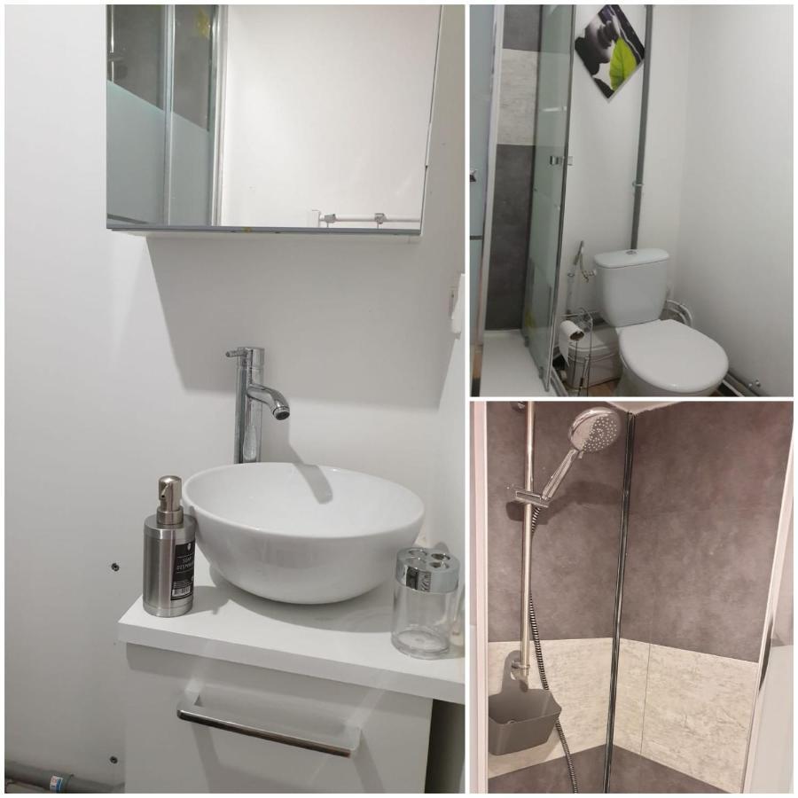 Chambres Poitiers Centre Ville - Salle De Bain, Refrigerateur, Tv Et Machine A Cafe Privatifs - Cuisine Commune - Terrasse - Hotel De Ville A 200M Luaran gambar